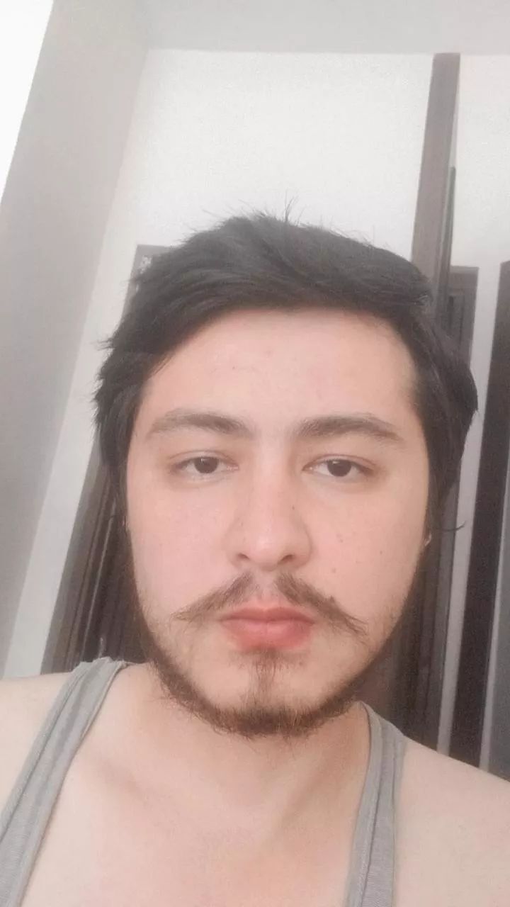  29308333  , 25 ,    