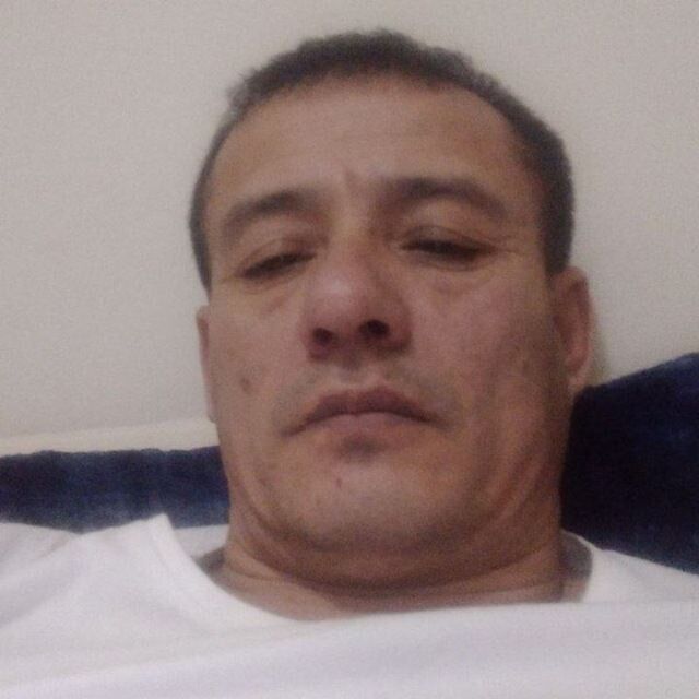  53311863  , 30 ,    -