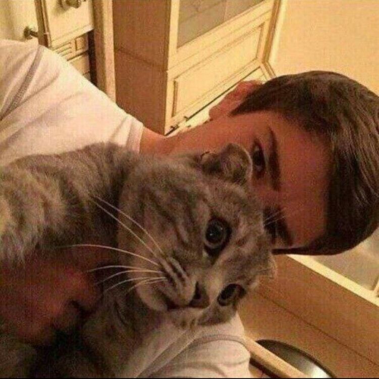 ���� 37140253 ������� �����, 26 ���, ���� ���������� � ����������