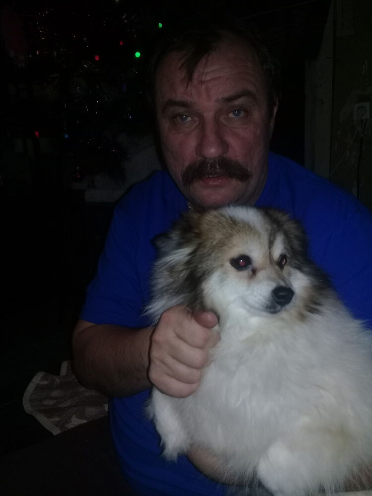   ,   , 55 ,   