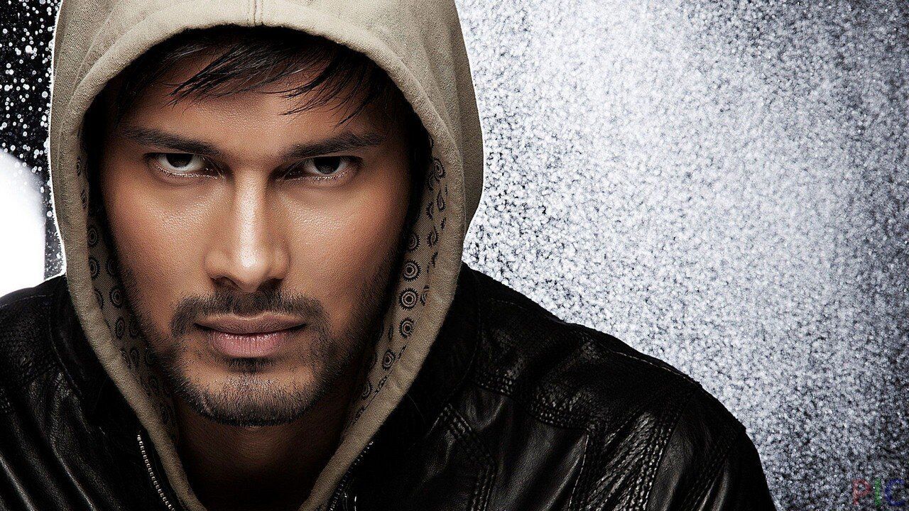 ���� 28899513 ������� �����, 33 ����, ���� ���������� � ������