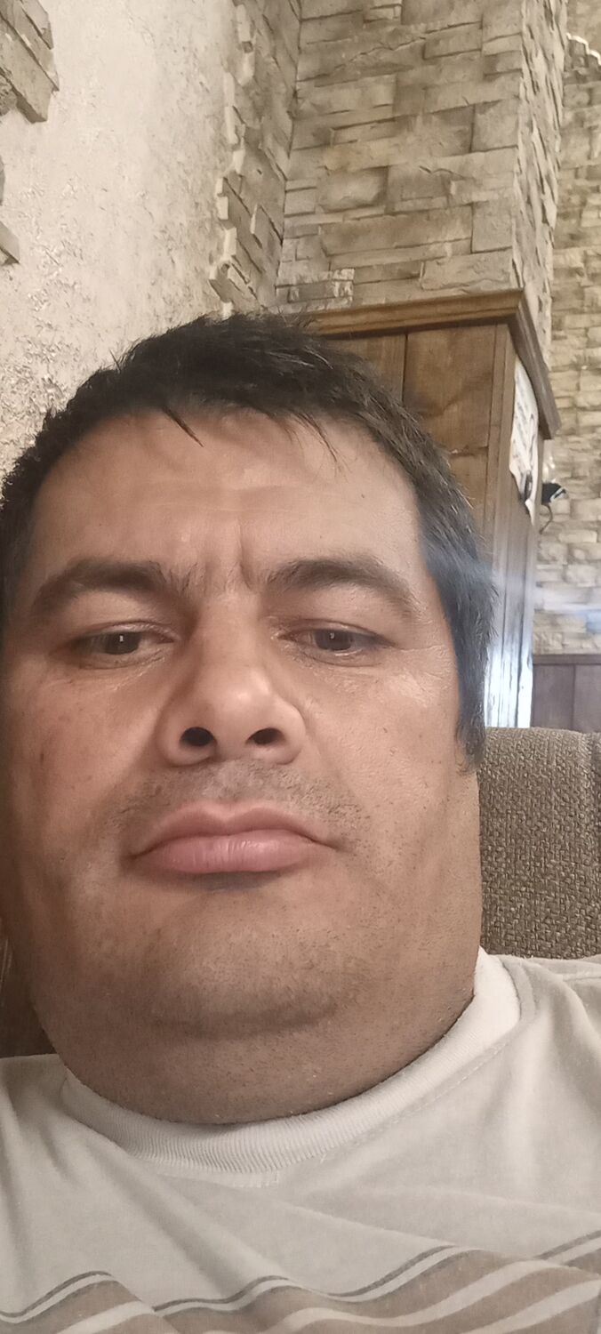  38195503  , 43 ,    -