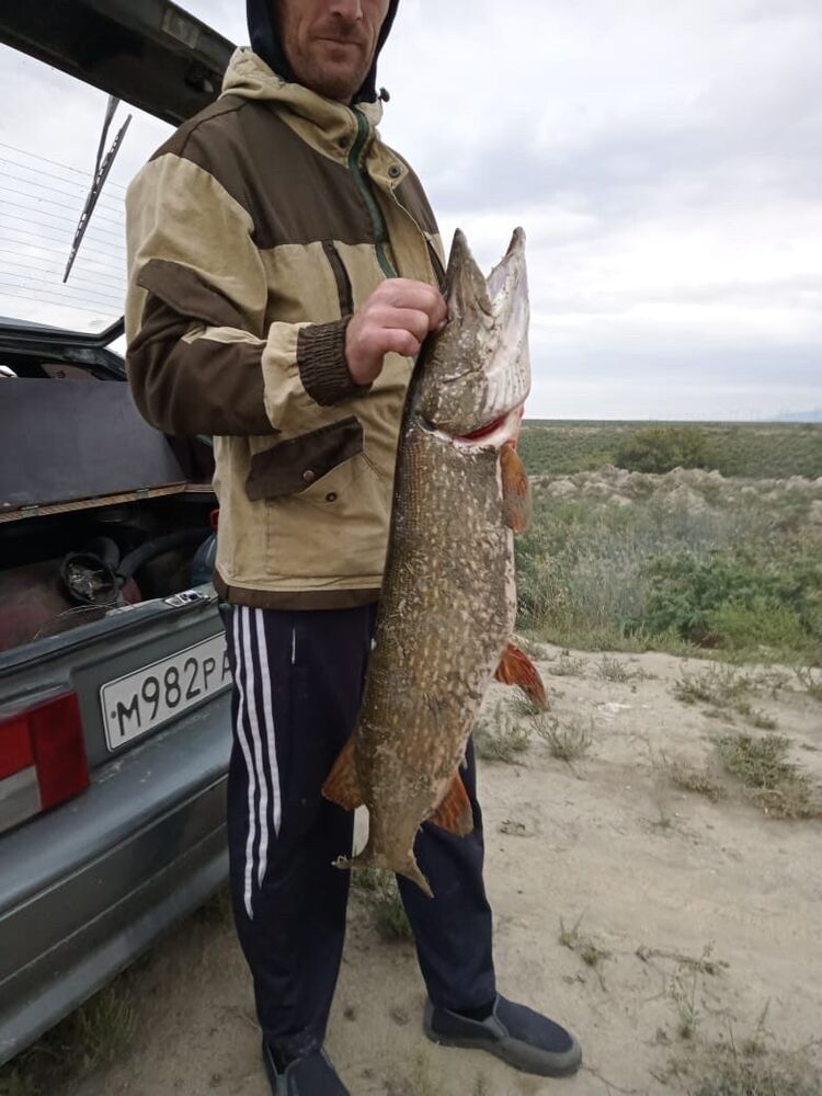 ���������� ������, ���� ������� �������, 47 ���, ������������ ��� ������, ����� � ���������, c�������� ���������, ���������