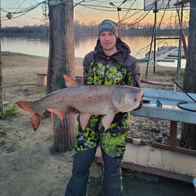 ���� 48219223 ������� �����, 37 ���, ���� ���������� � ������