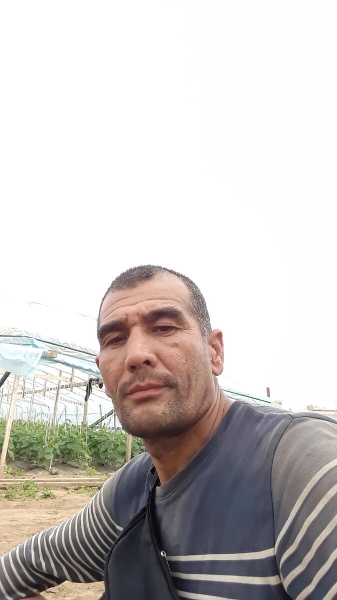 ���������� ������, ���� ������� Murodjon, 50 ���, ������������ ��� ������, ����� � ���������, c�������� ���������