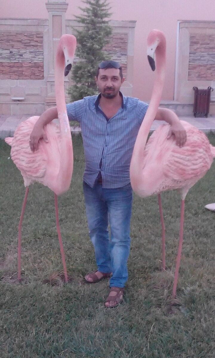  10565753  Emin, 48 ,    