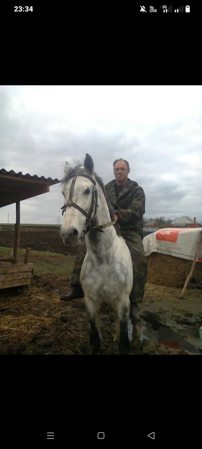 ���� 54355363 ������� ������, 50 ���, ���� ���������� � ����������