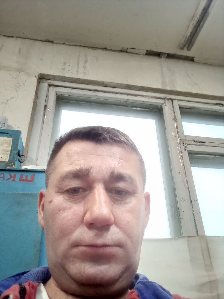  53686653  , 50 ,    