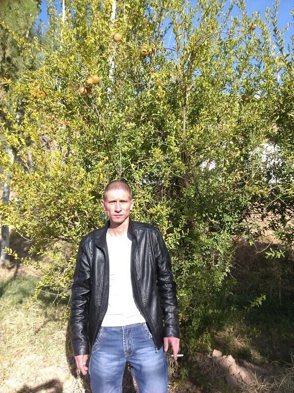  20064933  , 41 ,    