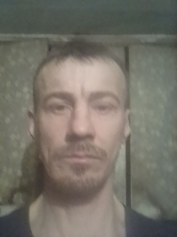  33373793  , 46 ,    -