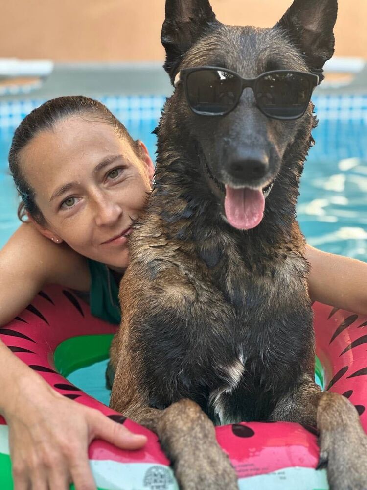 ���������� �������, ���� ������� ������, 38 ���, ������������ ��� ������, ����� � ���������, c�������� ���������