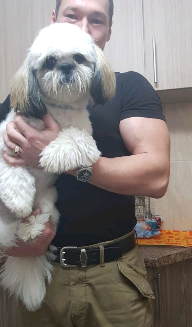 ���������� �������, ���� ������� ����������, 43 ����, ������������ ��� ������, ����� � ���������