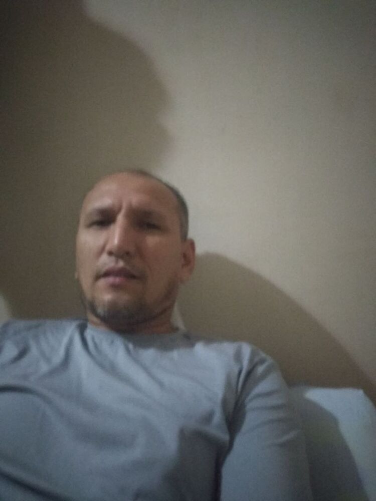  48597723  , 41 ,    