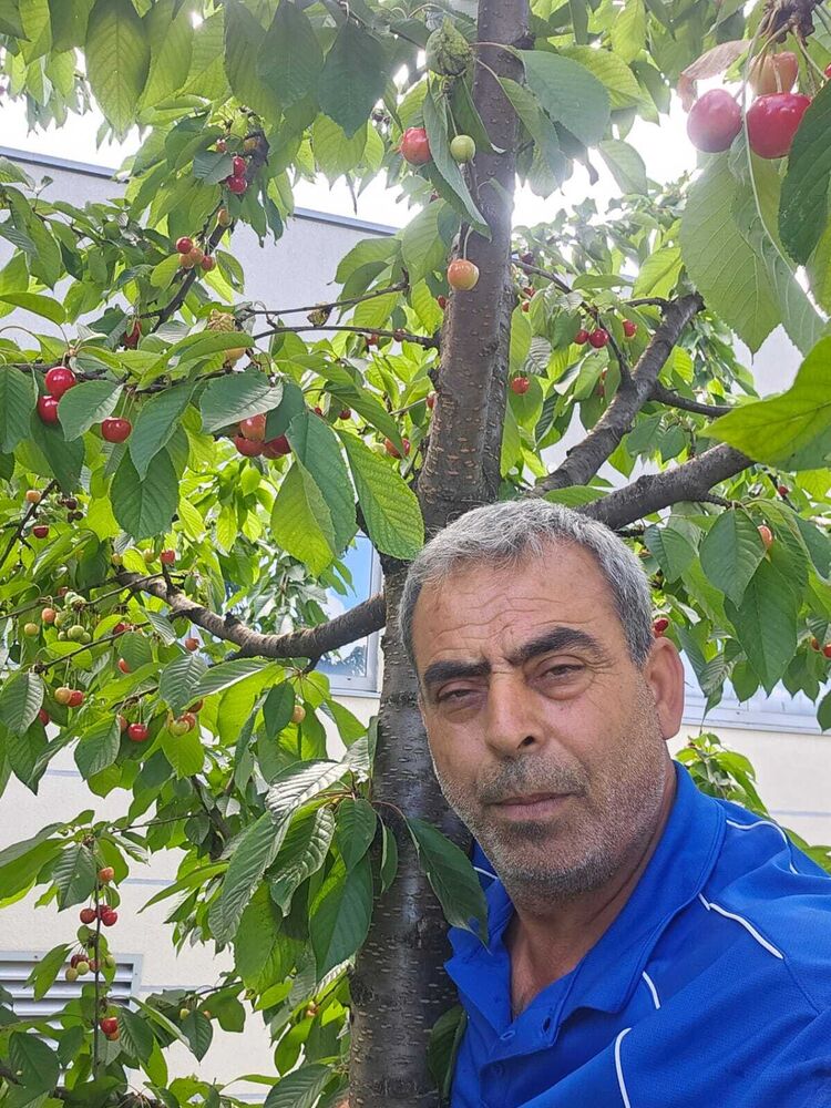  46354553  Mehmet, 50 ,    