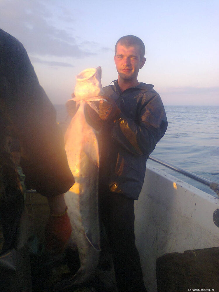 ���� 24650533 ������� ���������, 45 ���, ���� ���������� � ������