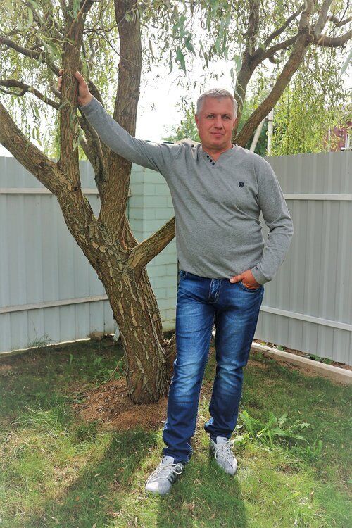 ���� 55822043 ������� ������, 47 ���, ���� ���������� � ����������