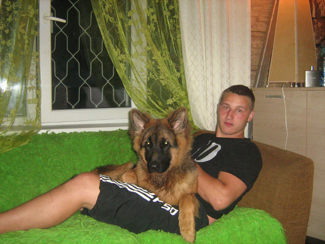  4100833  Vladik, 33 ,    