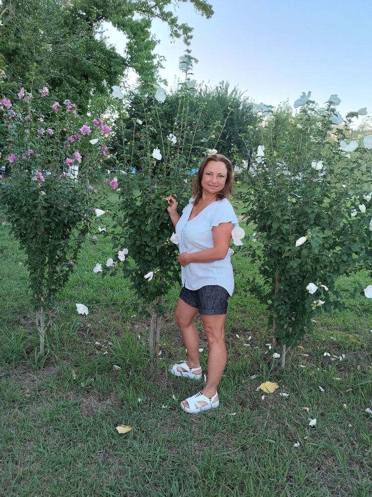 ���� 55316123 ������� �����, 45 ���, ���� ���������� � ������