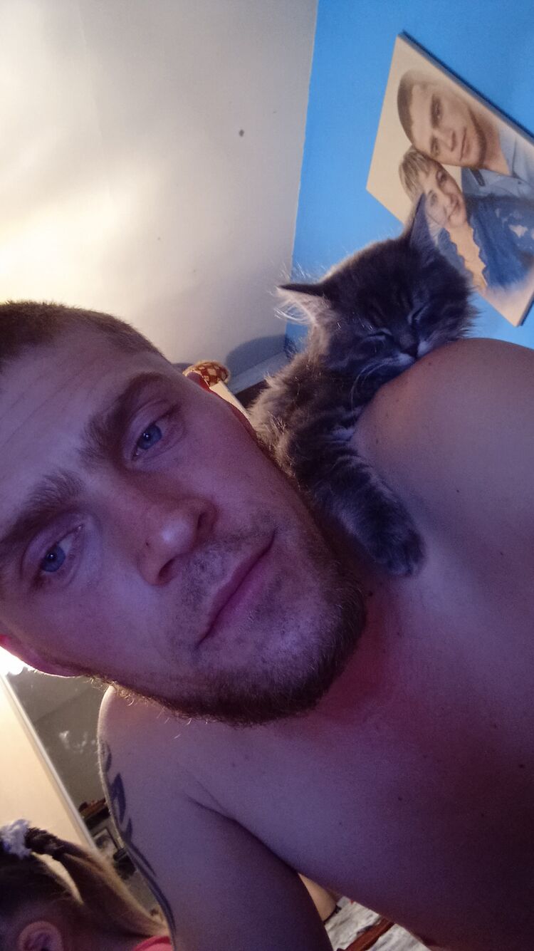 ���� 24726163 ������� ������, 29 ���, ���� ���������� � ����������