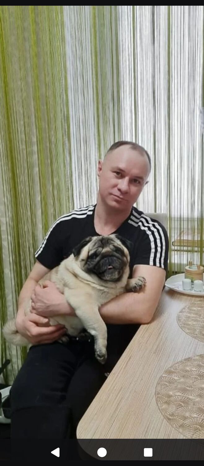 ���� 56105203 ������� �������, 40 ���, ���� ���������� � ����������