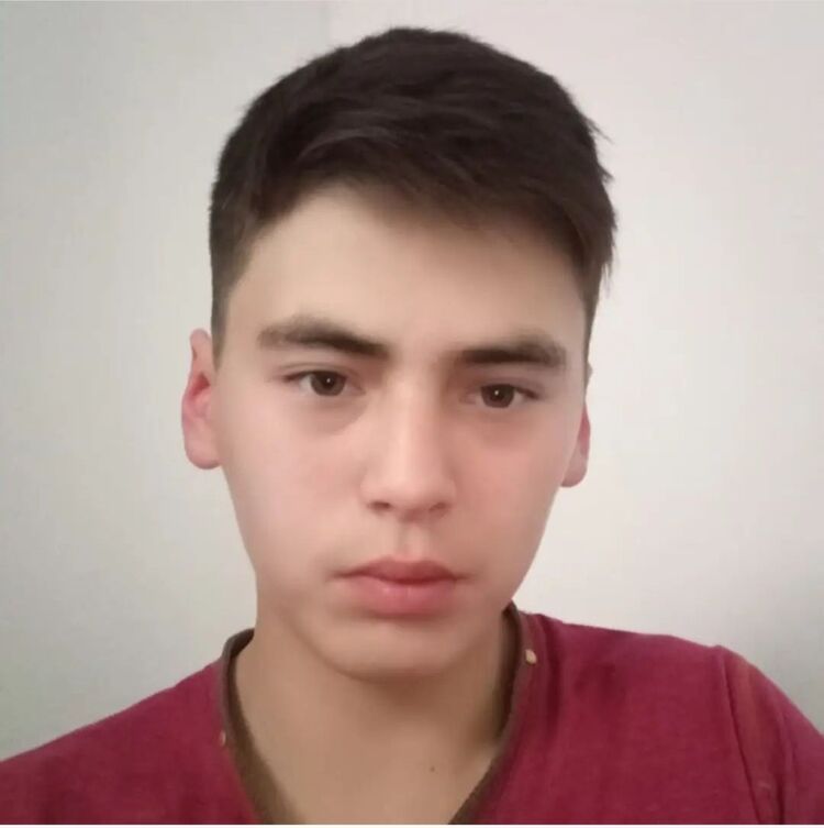 ���� 37723013 ����� �����, 24 ����, ���� ���������� � ������