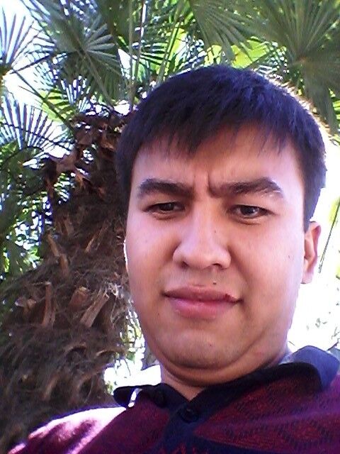 ���� 4773463 ������� ������, 36 ���, ���� ���������� � ����