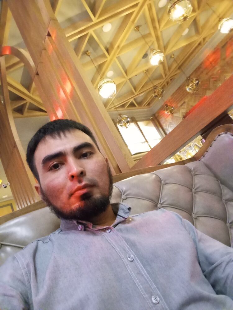  52888483  , 31 ,    