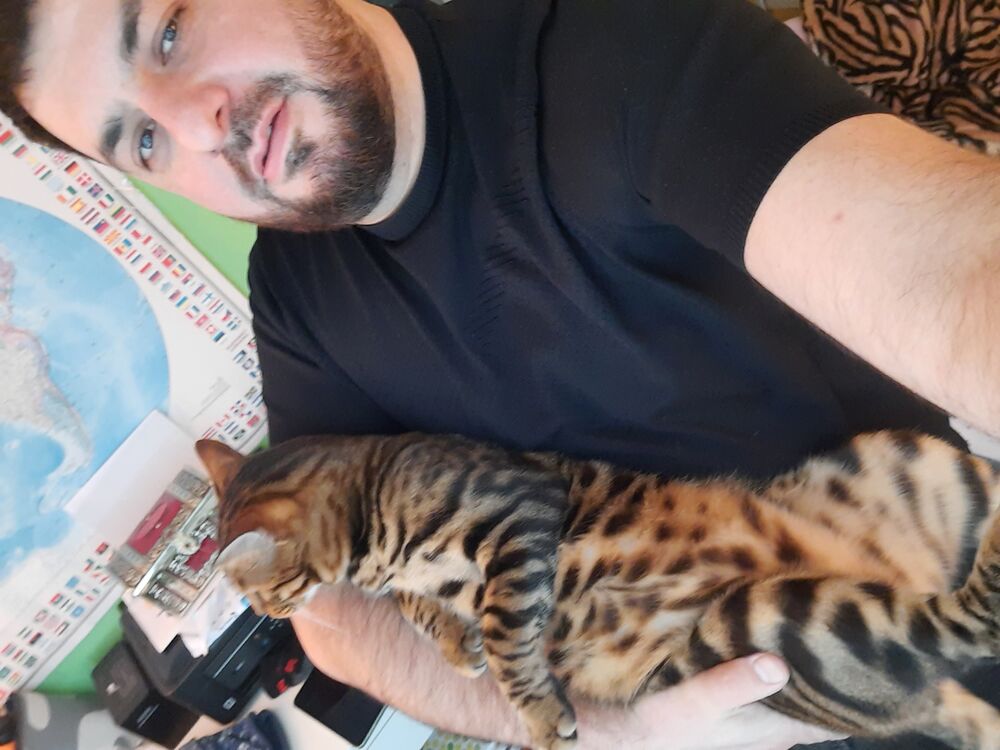 ���������� ������, ���� ������� �����, 41 ���, ������������ ��� ������, ����� � ���������