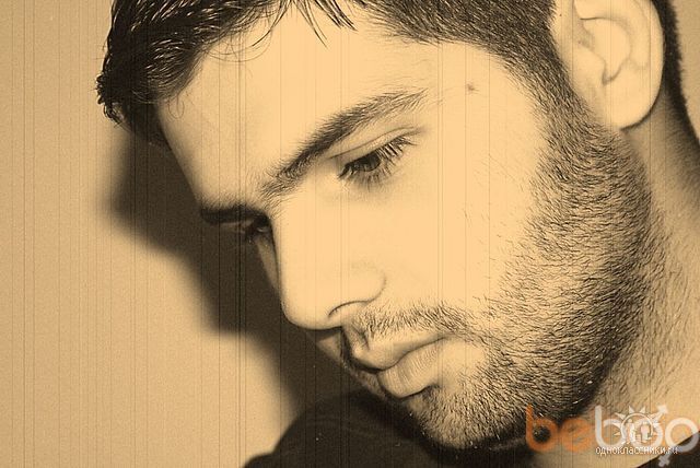 ���������� ������, ���� ������� BEAR, 40 ���, ������������ ��� ������