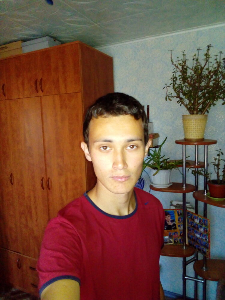  13035433  , 32 ,    