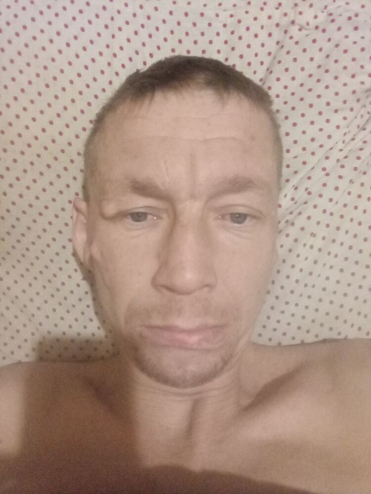  49472593  , 38 ,    -
