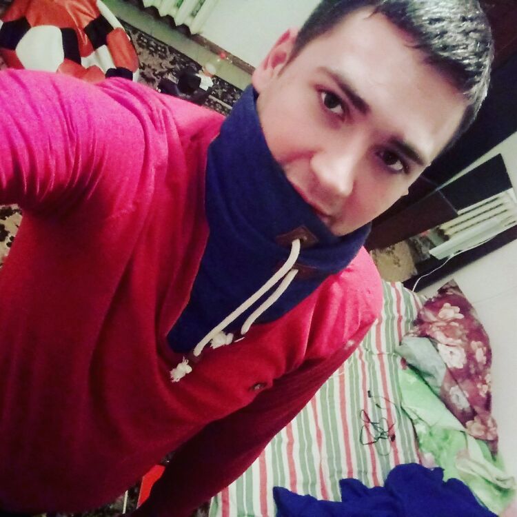  19155823  , 28 ,    