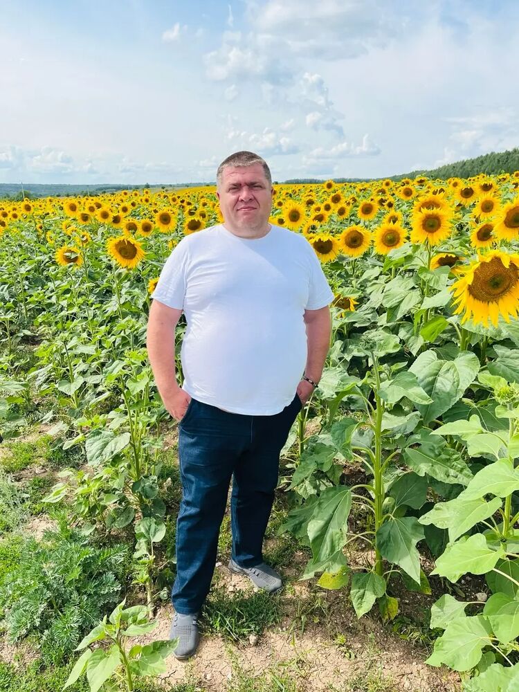 ���� 56247163 ������� �������, 45 ���, ���� ���������� � ������