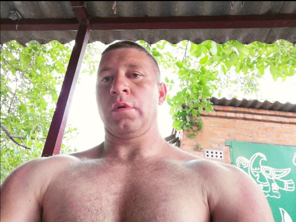 ���� 26684093 ������� �����, 40 ���, ���� ���������� � ������