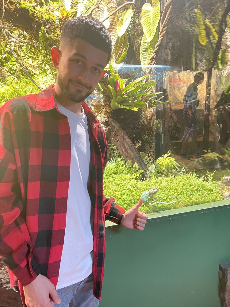 ���������� �����-���������, ���� ����� ������, 23 ����, ������������ ��� ������, ����� � ���������, c�������� ���������, ���������