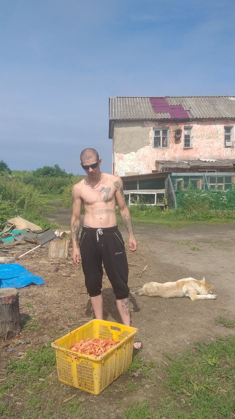  32415063  , 38 ,    