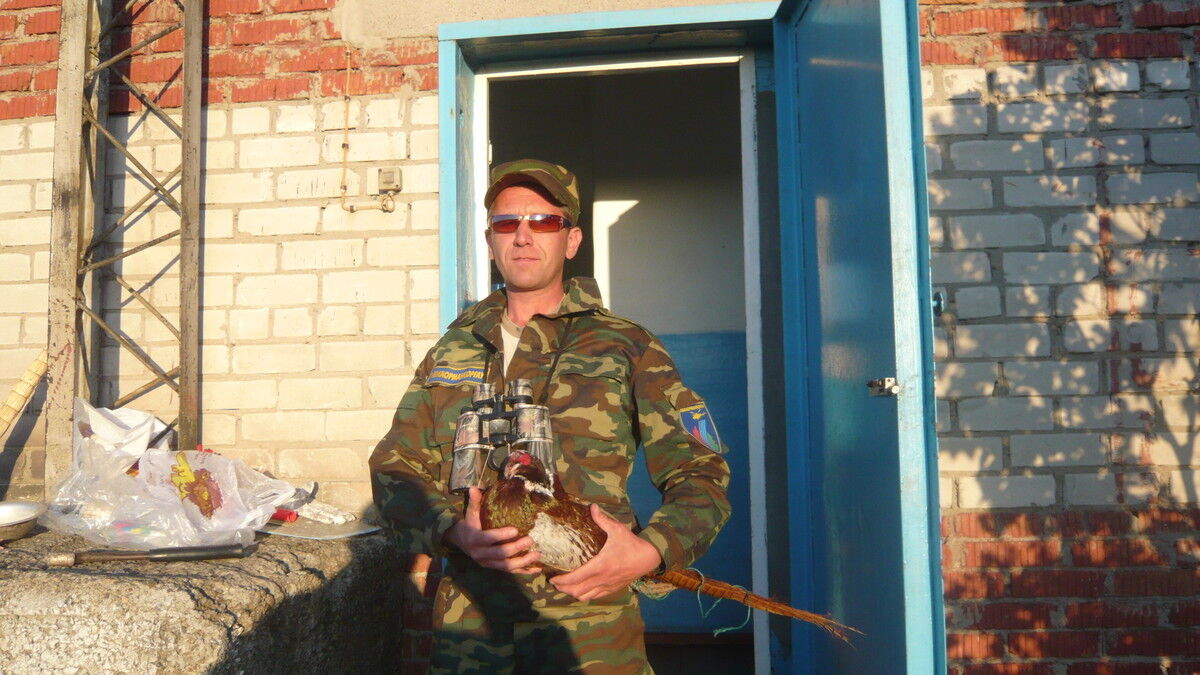 ���� 4178383 ������� ������, 57 ���, ���� ���������� � ����-������������