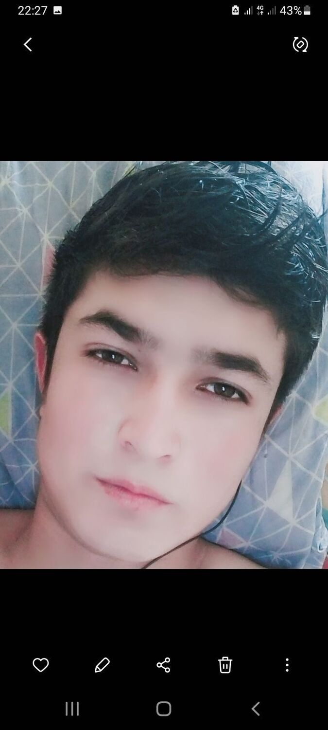  53026183  , 22 ,    