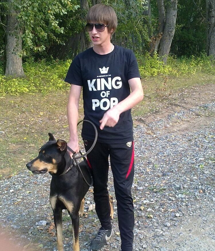 ���� 7485033 ������� �����, 33 ����, ���� ���������� � ������