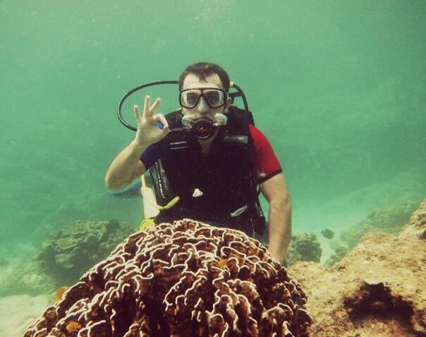 ���������� �����, ���� ������� ������, 38 ���, ������������ ��� ������