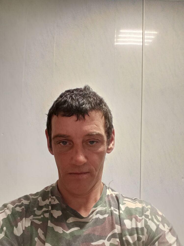  33647803  , 41 ,    