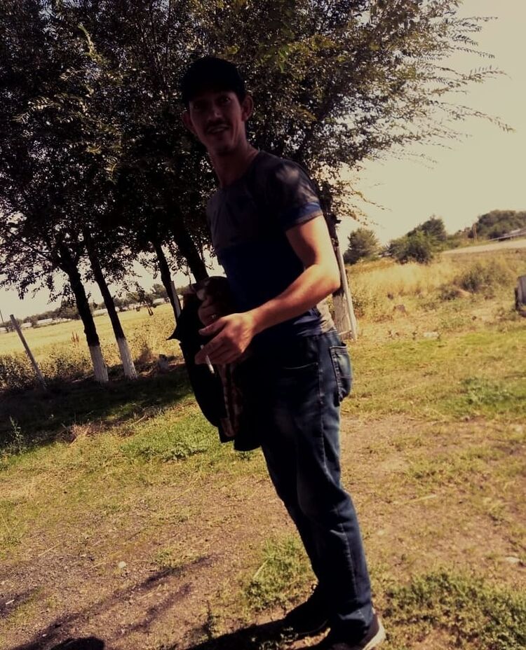 ���������� ������, ���� ������� �����, 36 ���, ������������ ��� ������, ����� � ���������, c�������� ���������