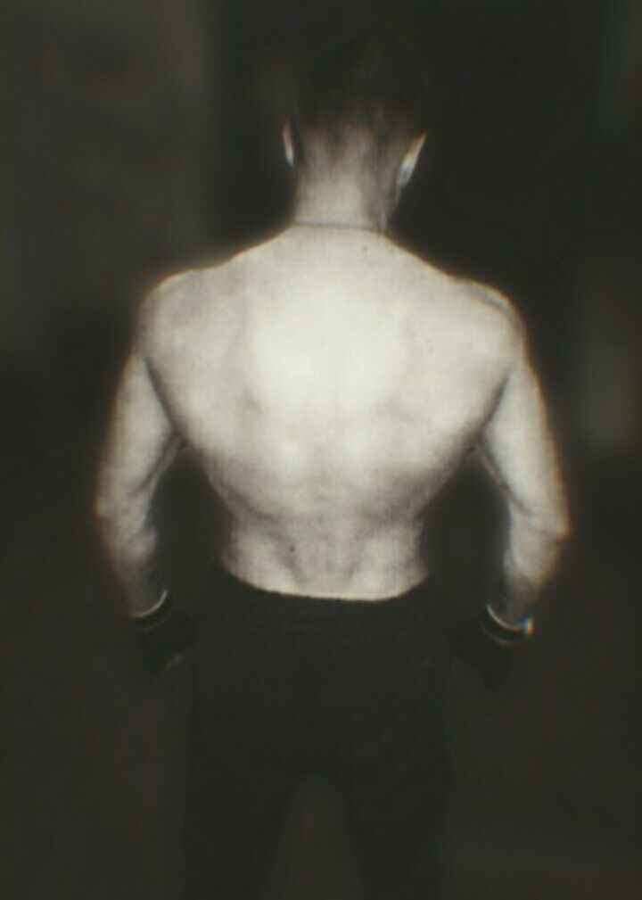  21529353  , 26 ,    
