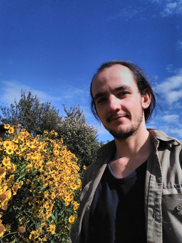 ���� 56309943 ������� ��, 32 ����, ���� ���������� � ������