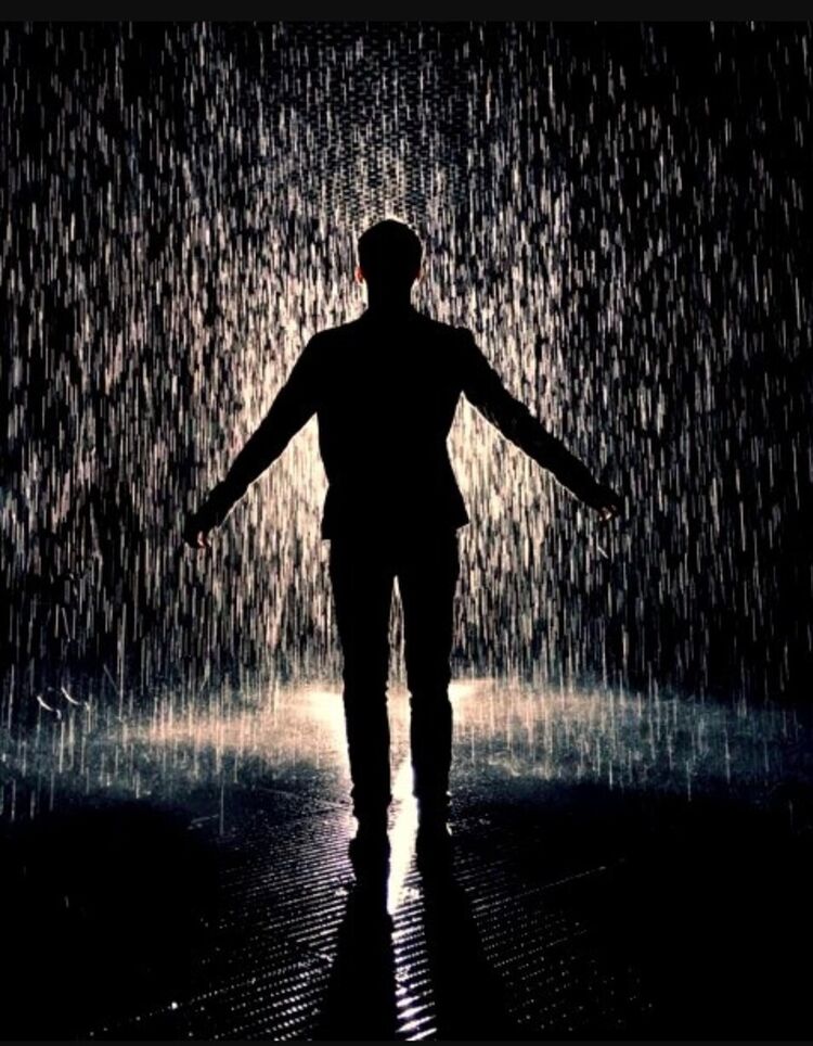 ���� 22449973 ������� ������, 41 ���, ���� ���������� � ��������