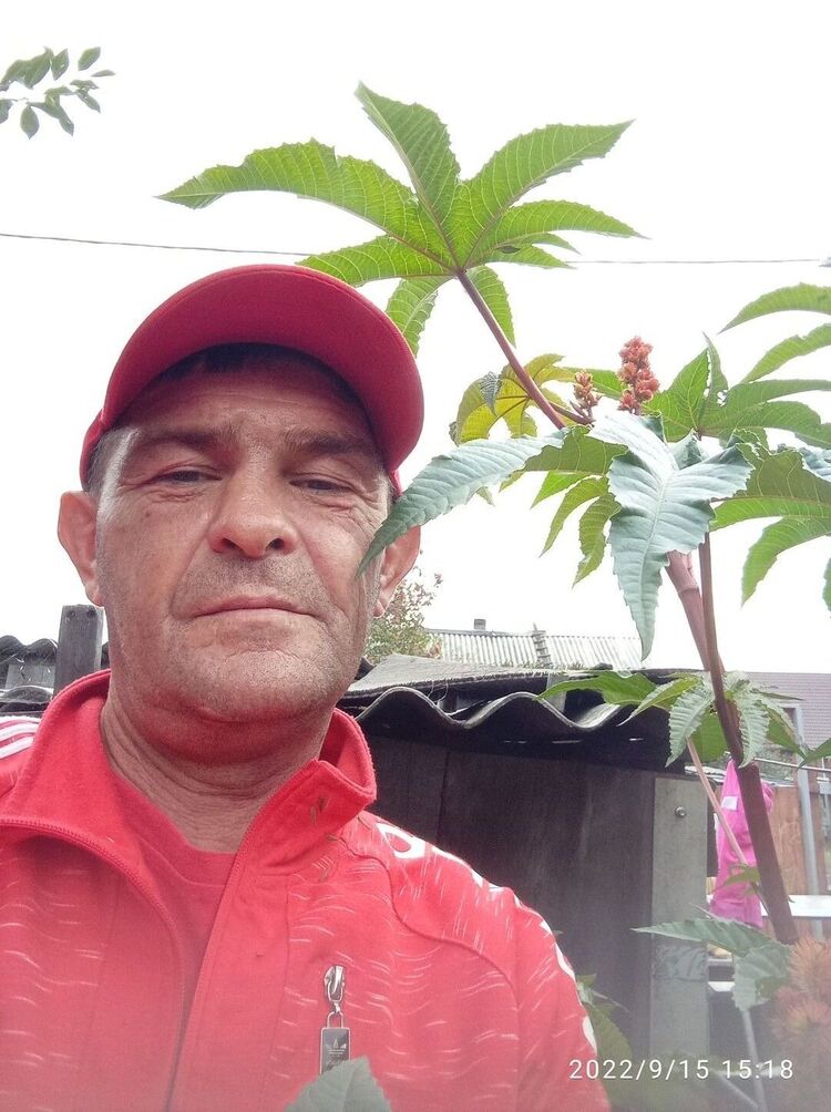  ,   , 50 ,     , c 