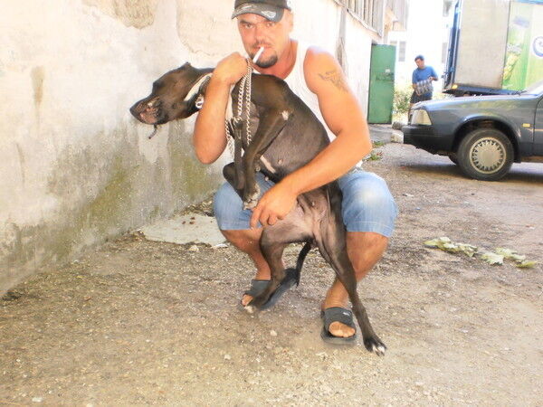 ���������� �����������, ���� ������� ������, 48 ���, ������������ ��� ������, ����� � ���������, c�������� ���������