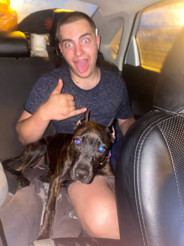 ���� 43647763 ����� ����, 20 ���, ���� ���������� � �����-����������