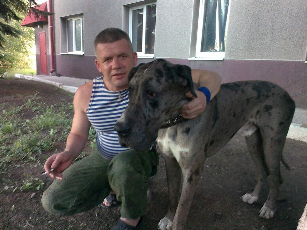 ���������� ������, ���� ������� ����, 46 ���, ������������ ��� ������, ����� � ���������, ���������