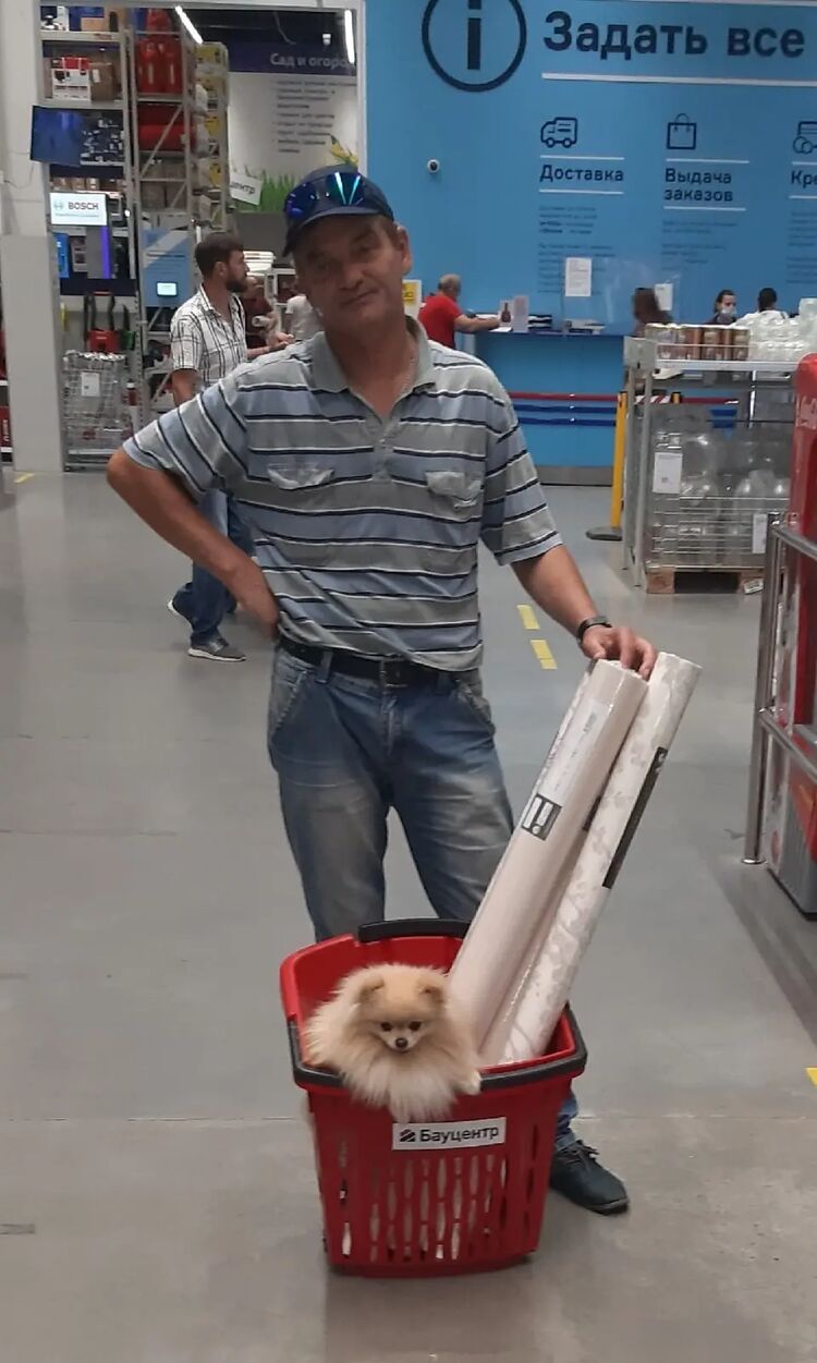 ���������� ���������, ���� ������� Andrey, 55 ���, ������������ ��� ������, ����� � ���������, c�������� ���������